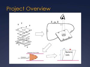 Bacterial adhesion to biomimmetic surfaces